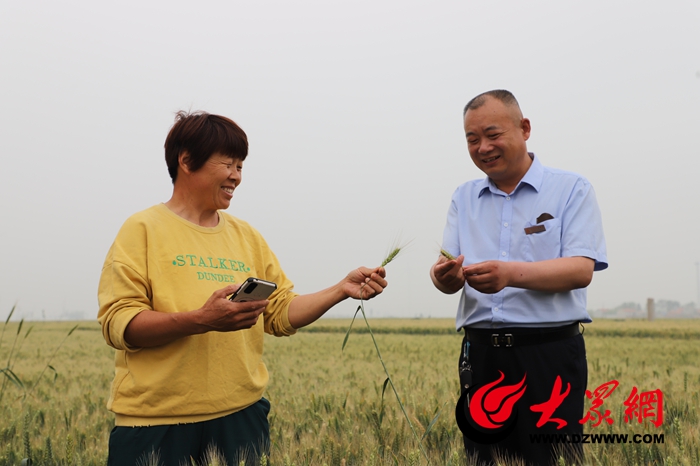 郓城农商银行：“六举措”助力“三夏”颗粒归仓_焦点新闻_大众网