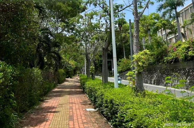 毒蛇咬死美女后续家属拒绝尸检错失3次救命机会卫健委严查