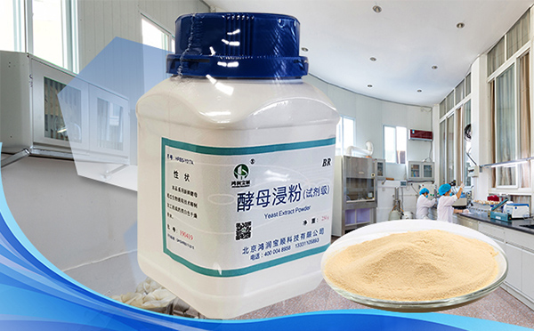 2026年中国生物制造产业现状分析及投资战略规划研究