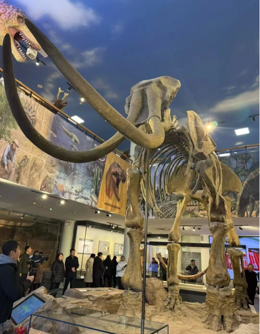 龙象之城丨“潍坊象”IP炼成记