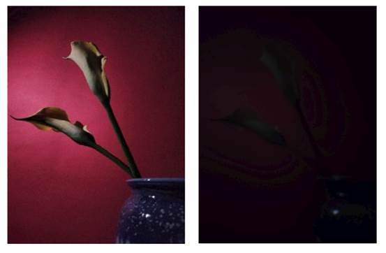 直播间热卖“明星脸” 小心娱乐变侵权