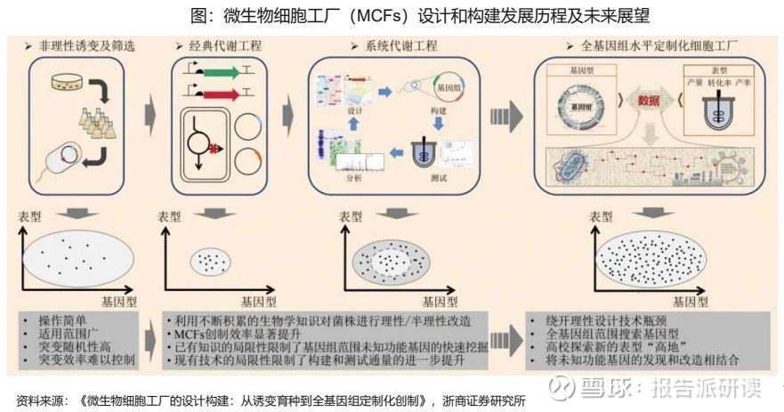 上海科研团队攻克角鲨烯生物合成难题